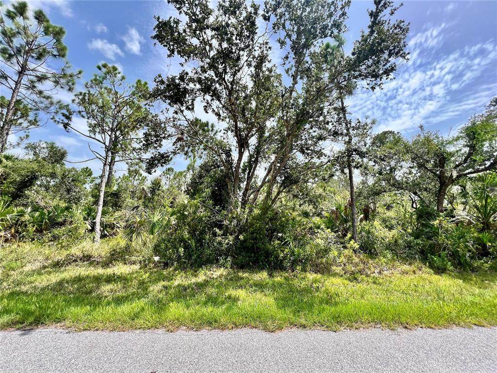 13377 Johannes Avenue - Photo 1