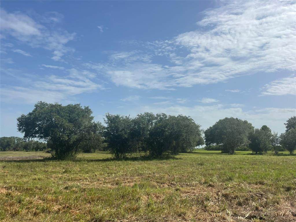22100 Hill Grade Road - Photo 1