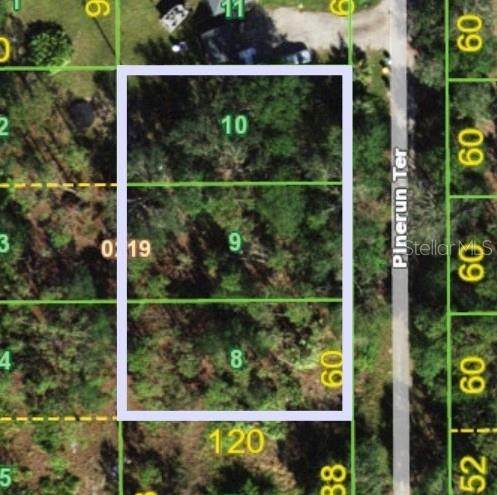 13263 Pinerun Terrace - Photo 1