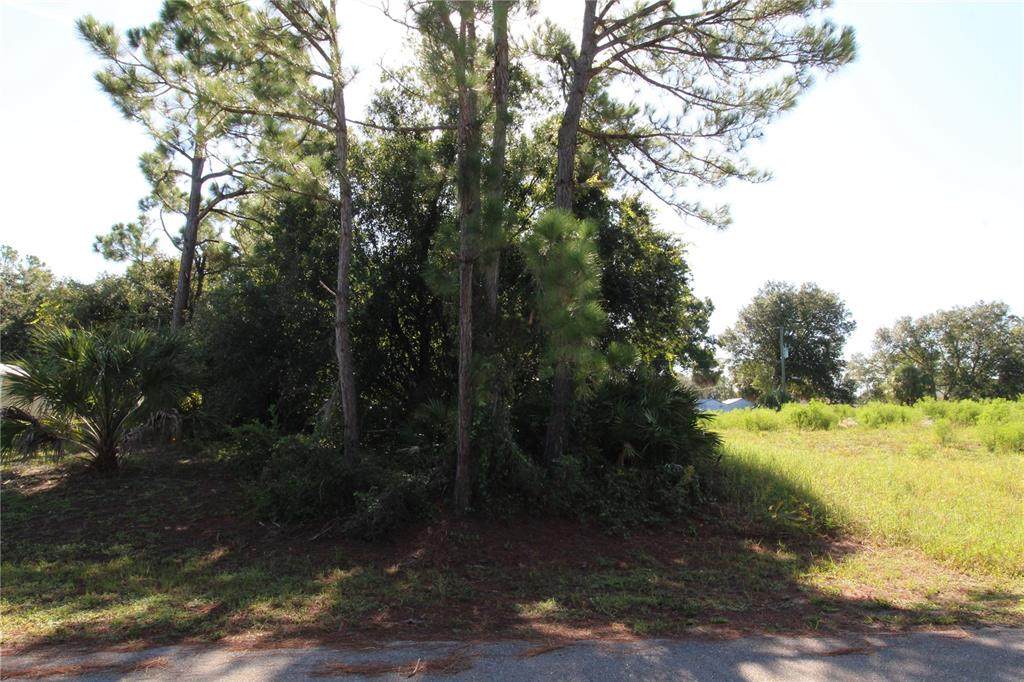  Chamrade Road - Photo 1
