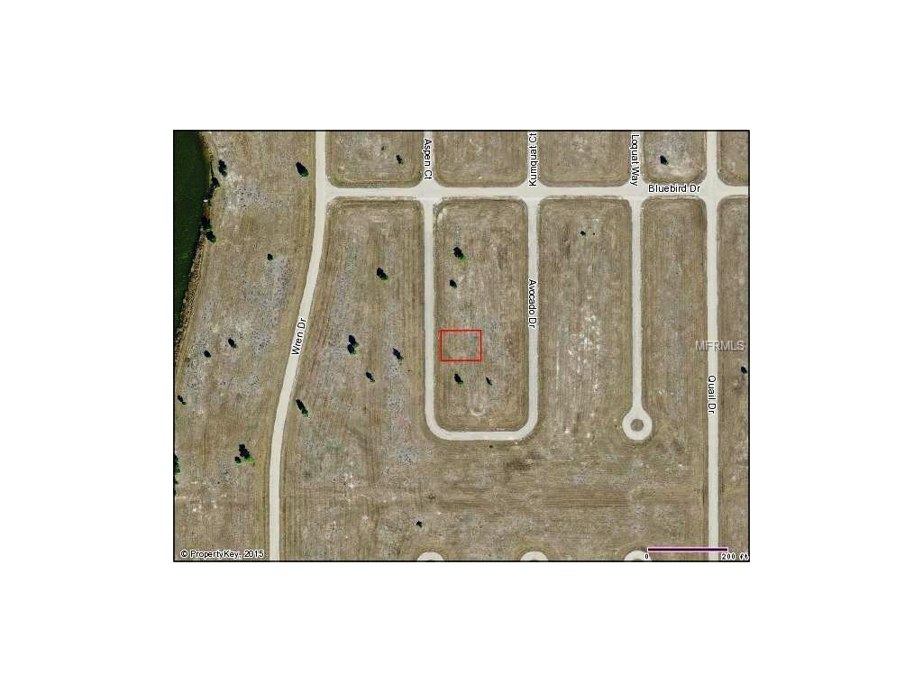 10 Avocado Drive - Photo 1