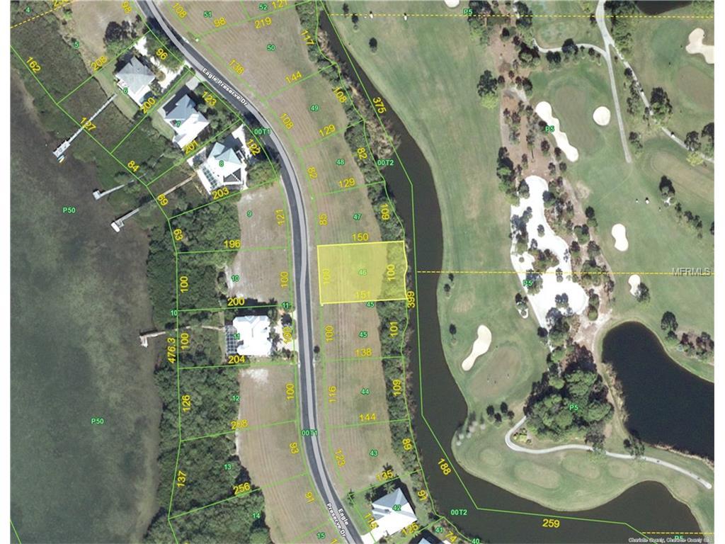 9980 Eagle Preserve Drive - Photo 1