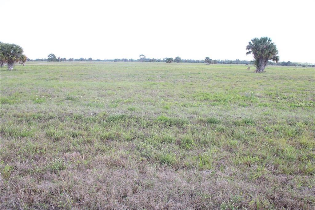 37 Violet Lane - Photo 1