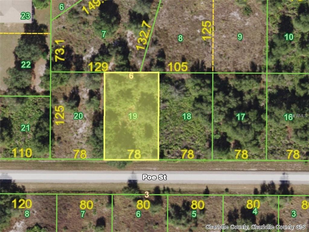 29208 Poe (Lot 19) Street - Photo 1