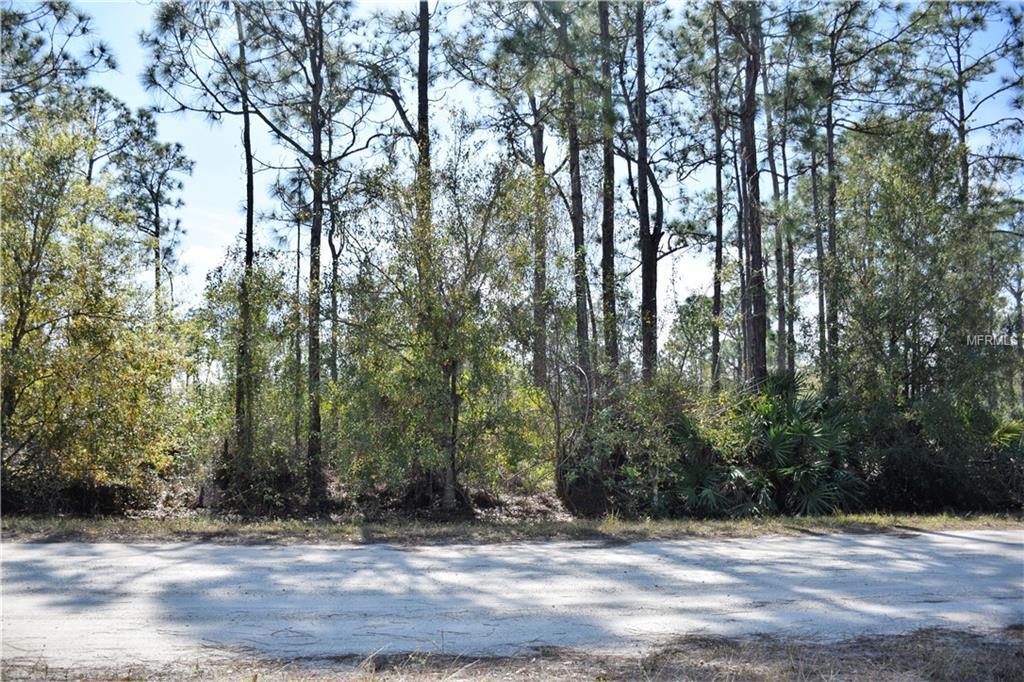 27163 & 27157 SEEGER Drive - Photo 1