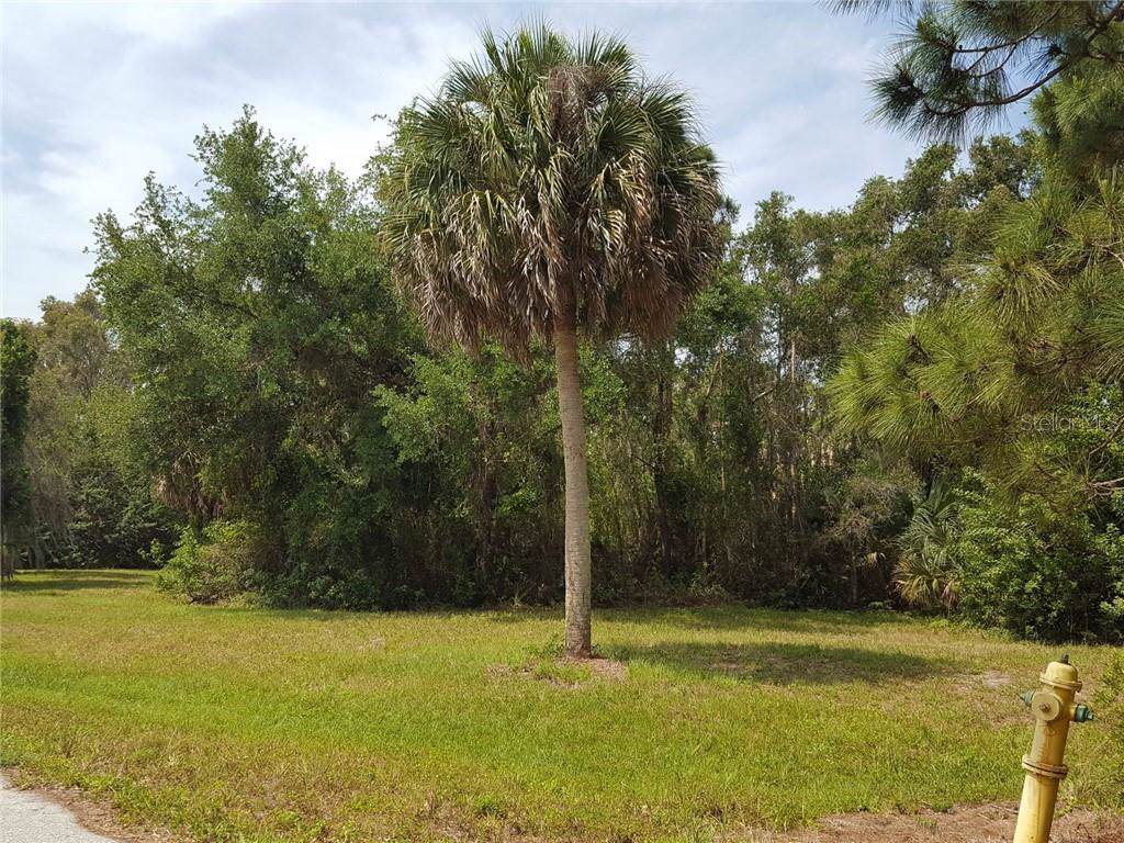 80 Cobia Drive - Photo 1