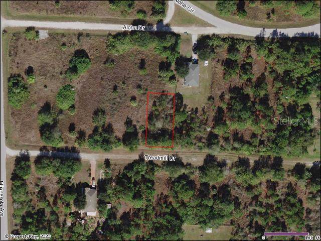 27426 Treadmill Drive - Photo 1