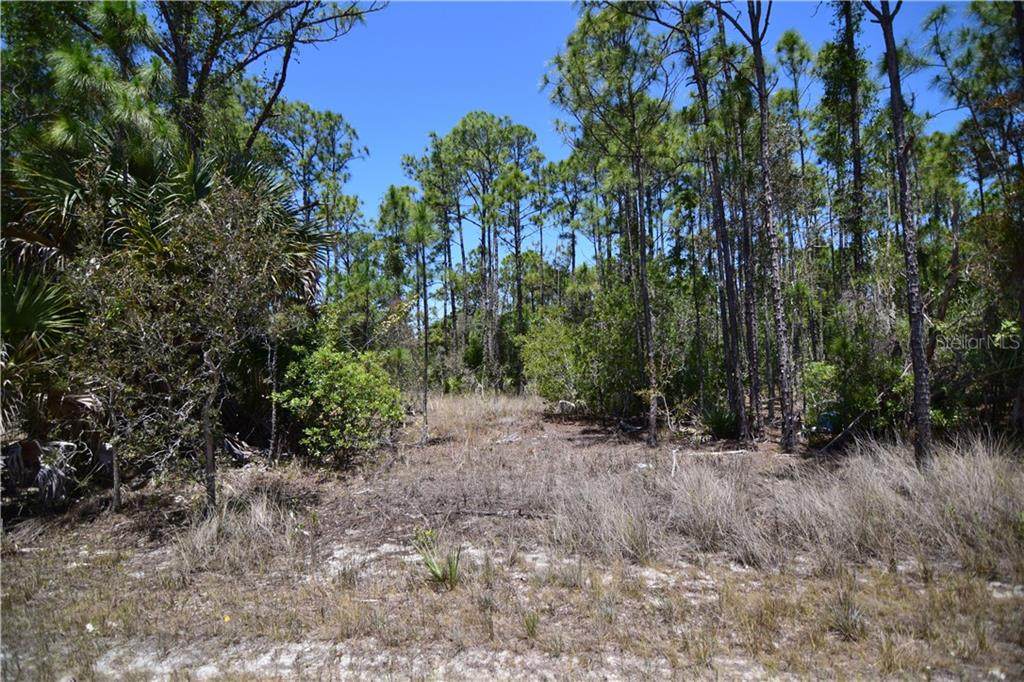 27180 + 27188 DUBONET Drive - Photo 1