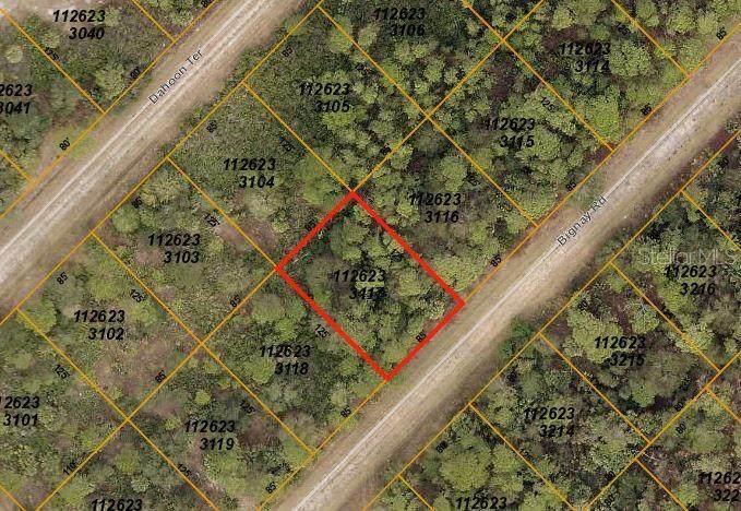 Lot 17 Block 2331 Bignay Road - Photo 1