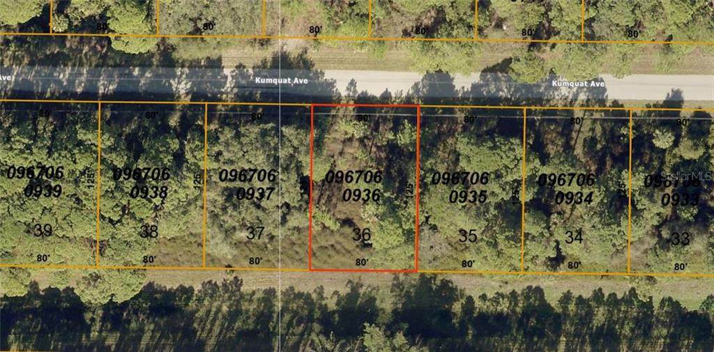 Lot 36 Kumquat Avenue - Photo 1