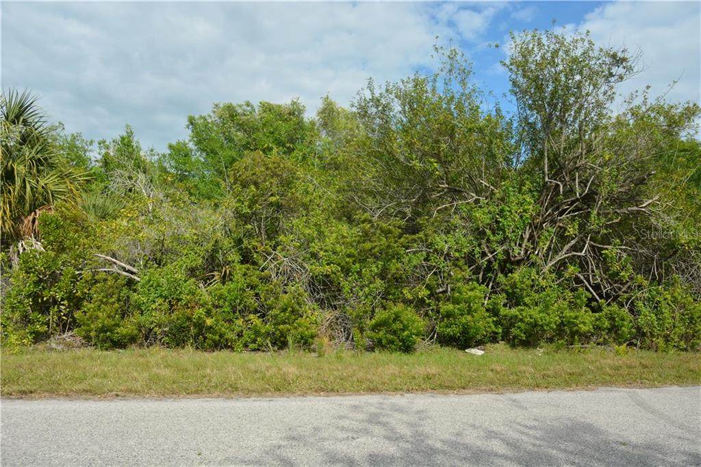 8102 Thruso Road - Photo 1