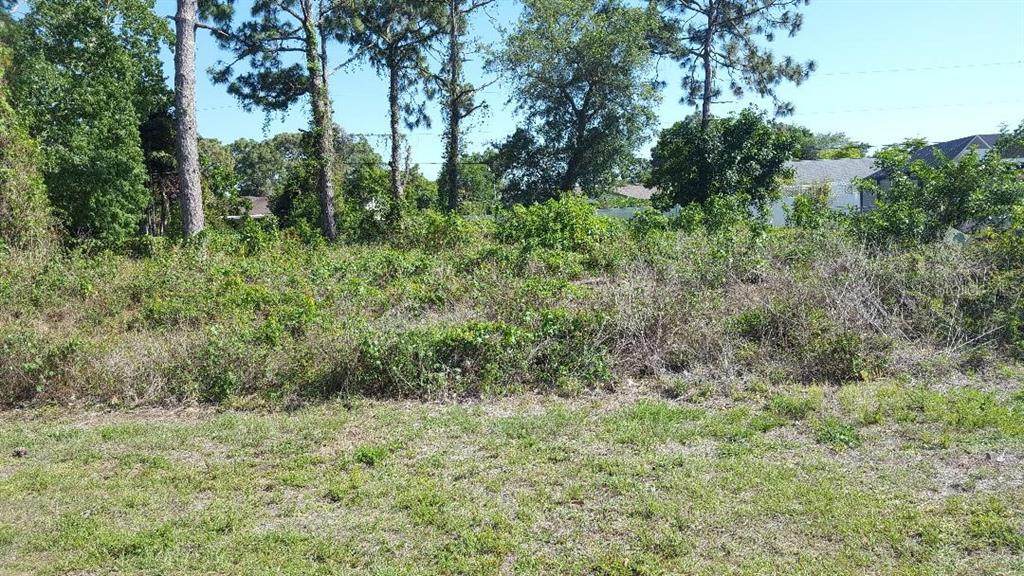 10167 Rafferty Avenue - Photo 1