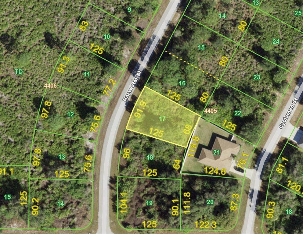 9314 Harvester Street - Photo 1