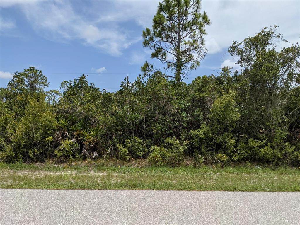 12137 Wadsworth Avenue - Photo 1