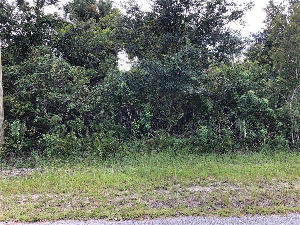13379 Bouvardia Lane - Photo 1