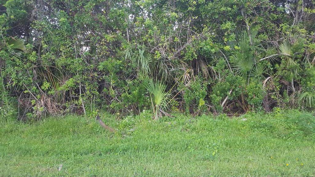 6181 Marcum Street - Photo 1