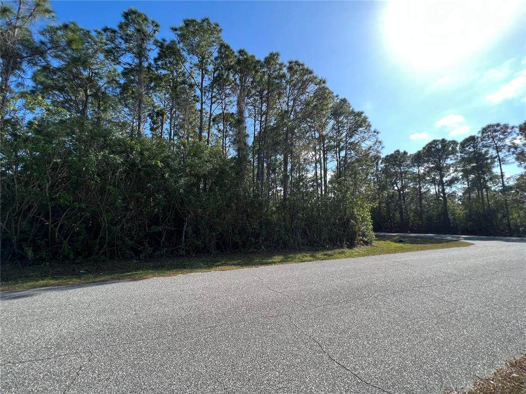 12339 Sylvan Street - Photo 1