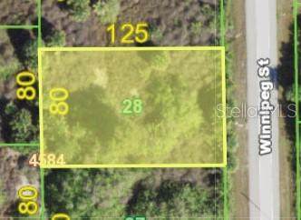 10105 Winnipeg Street - Photo 1