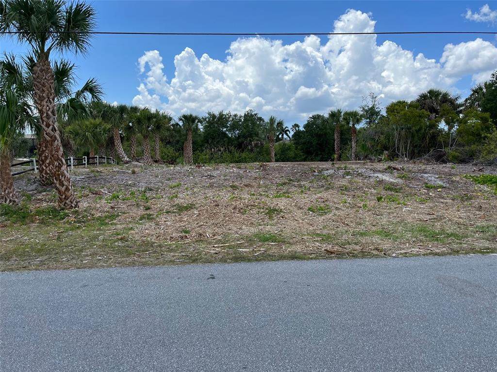17375 Skipper Lane - Photo 1