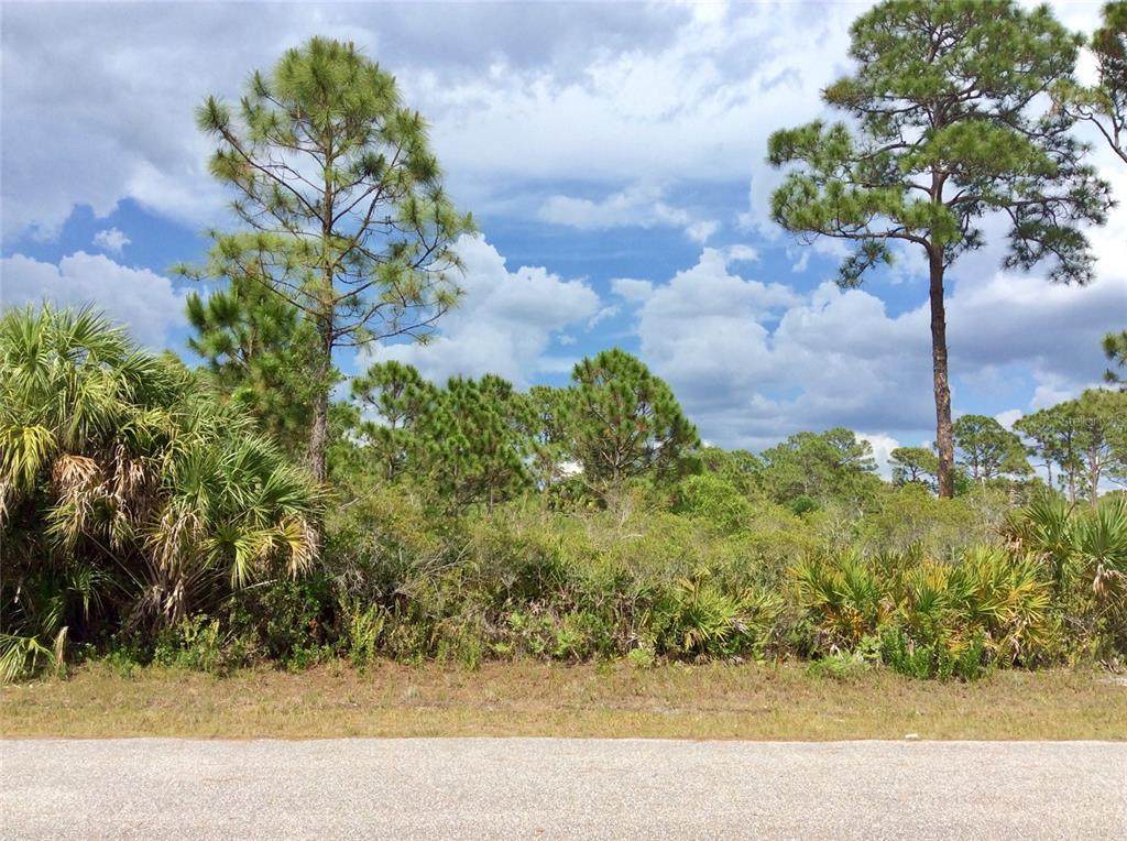 3208 El Salvador Road - Photo 1