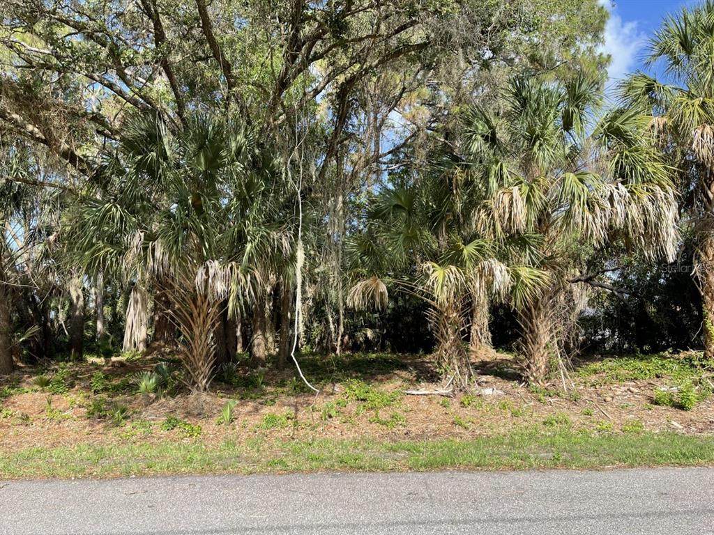 Lot 15 Jennings Street - Photo 1