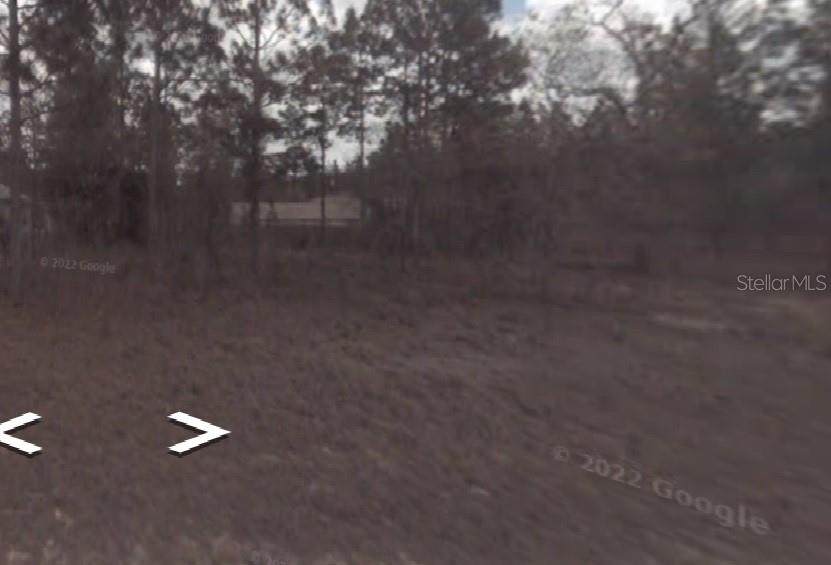 1408 Diamond Drive - Photo 1
