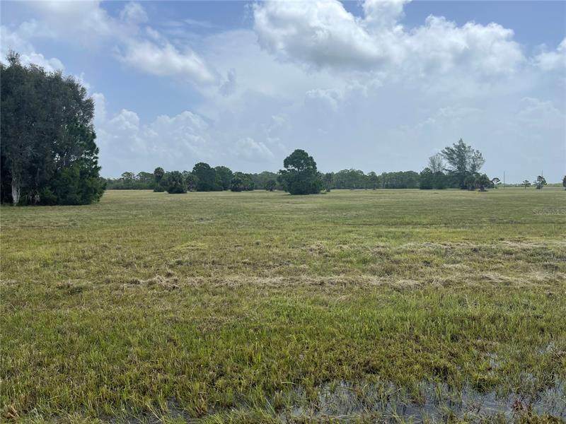 13588 Walleye Way - Photo 1