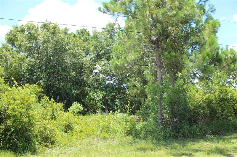 8179 Walbert Street - Photo 1