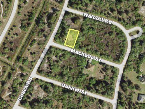12378 Machado Street - Photo 1