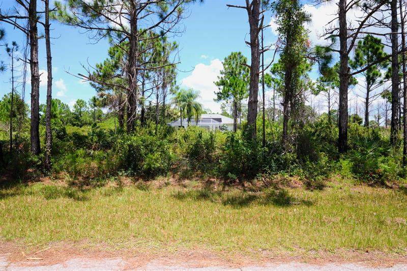 12104 Everglades Avenue - Photo 1