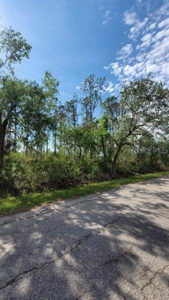 34241 Serene Drive - Photo 1