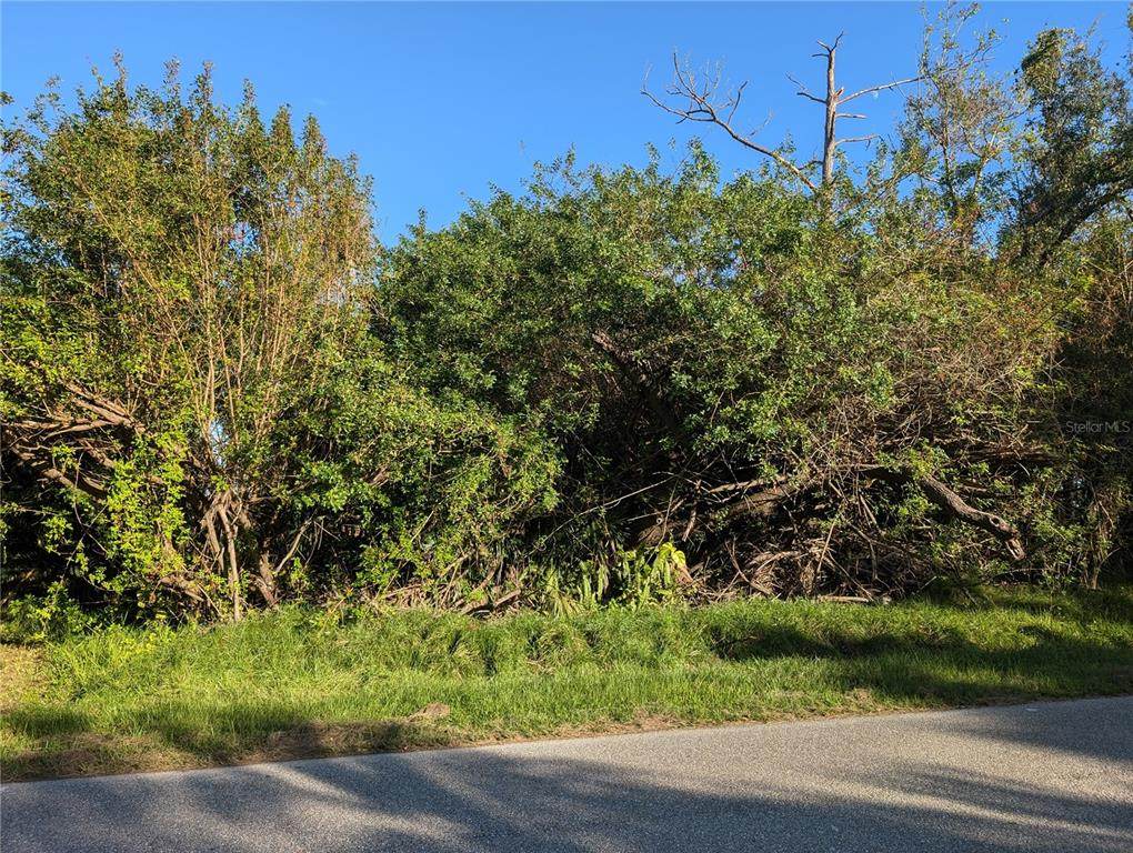 725 Chevy Chase Street - Photo 1
