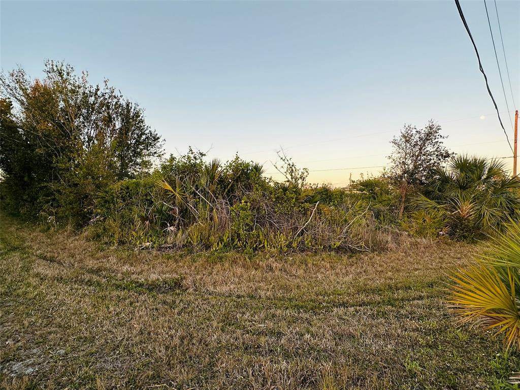 12204 Zittle Avenue - Photo 1