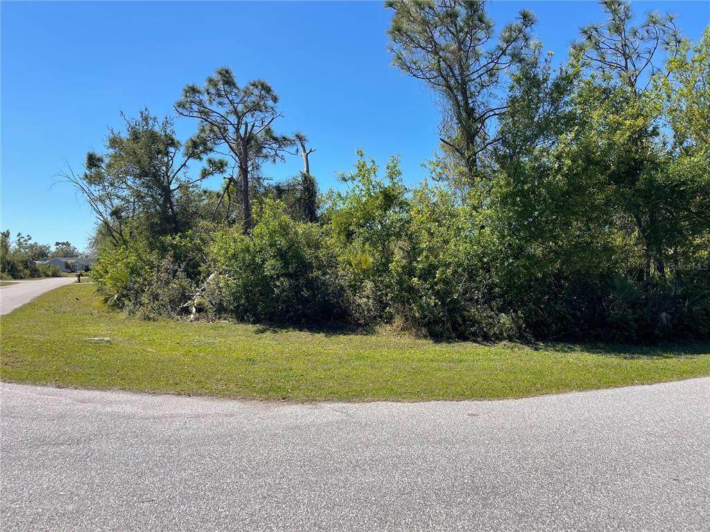 12353 Evelyn Avenue - Photo 1