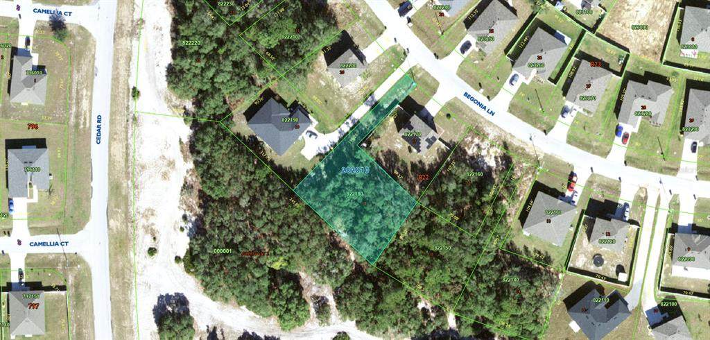 224 Begonia Lane - Photo 1