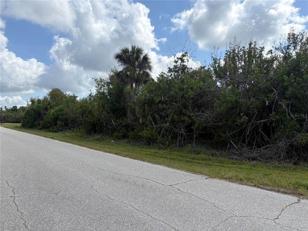 6094 Collier Street - Photo 1