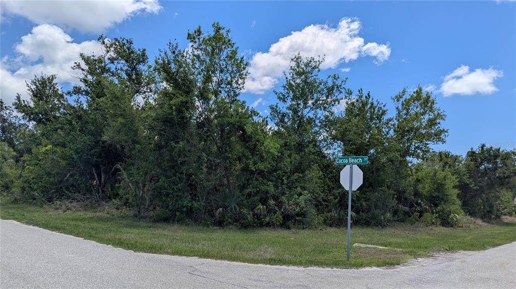 10017 Cocoa Beach Street - Photo 1
