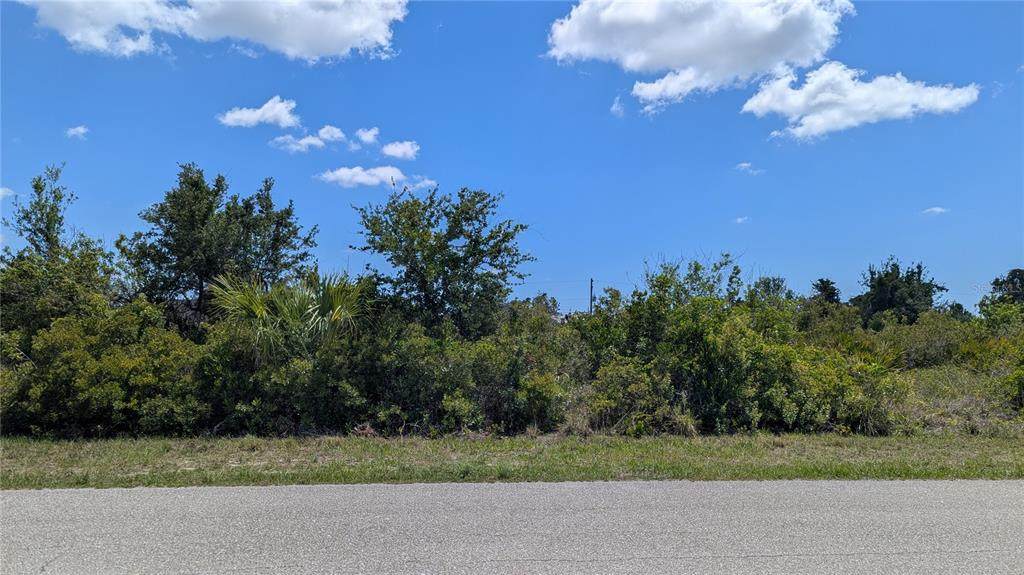 13493 Abutilon Lane - Photo 1