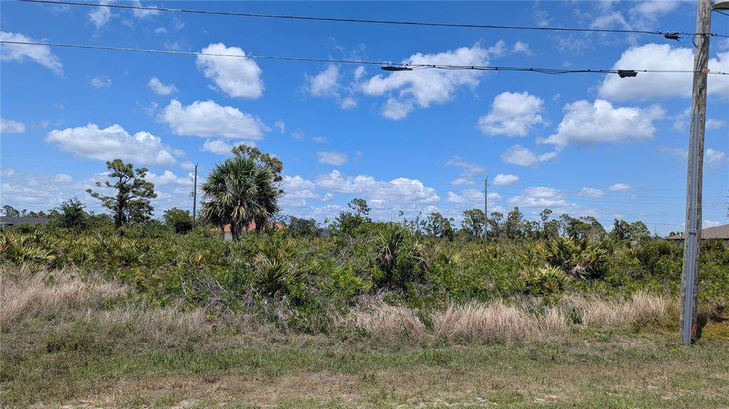 13474 Abutilon Lane - Photo 1