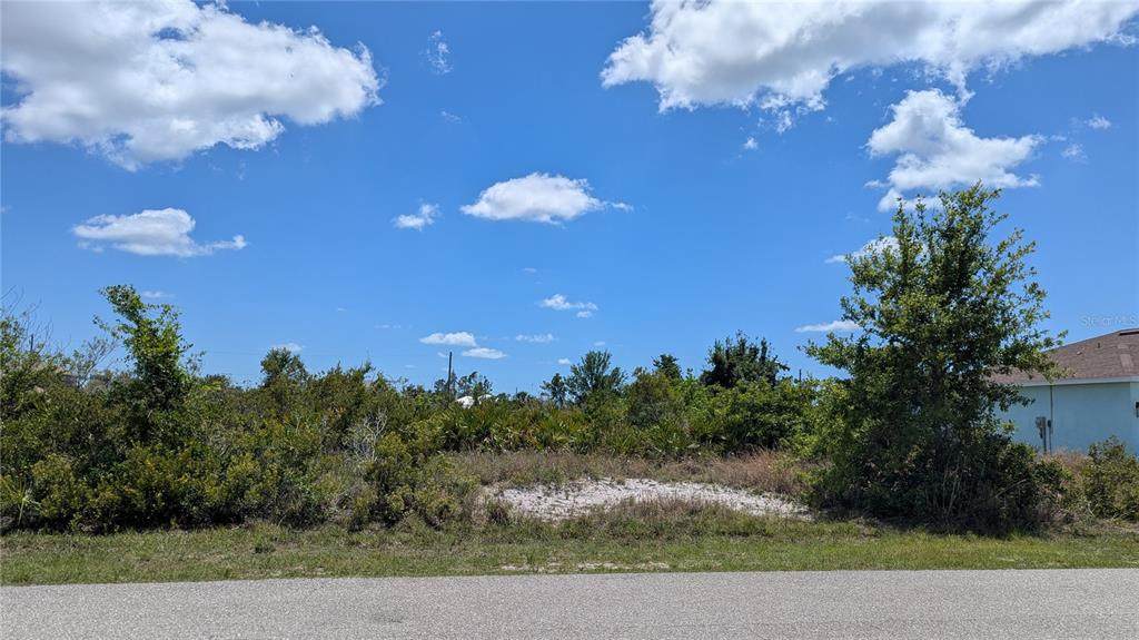 13485 Abutilon Lane - Photo 1