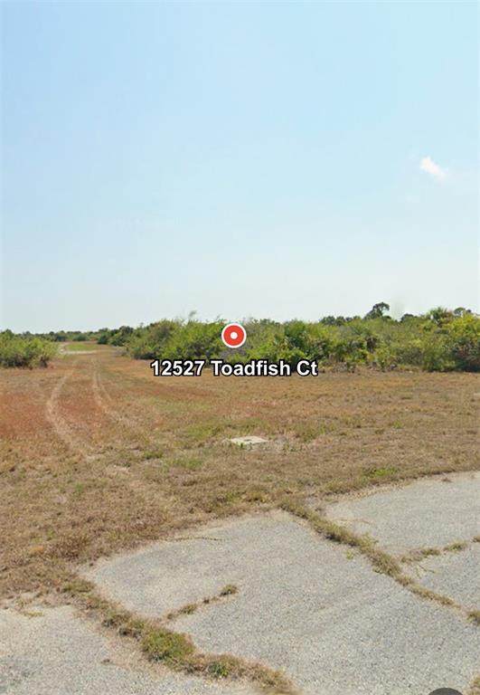 12527 Toadfish Court - Photo 1