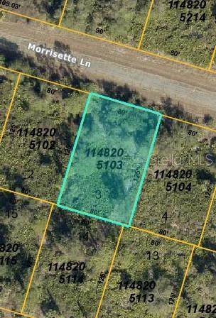 Lot 3 Morrisette Lane - Photo 1