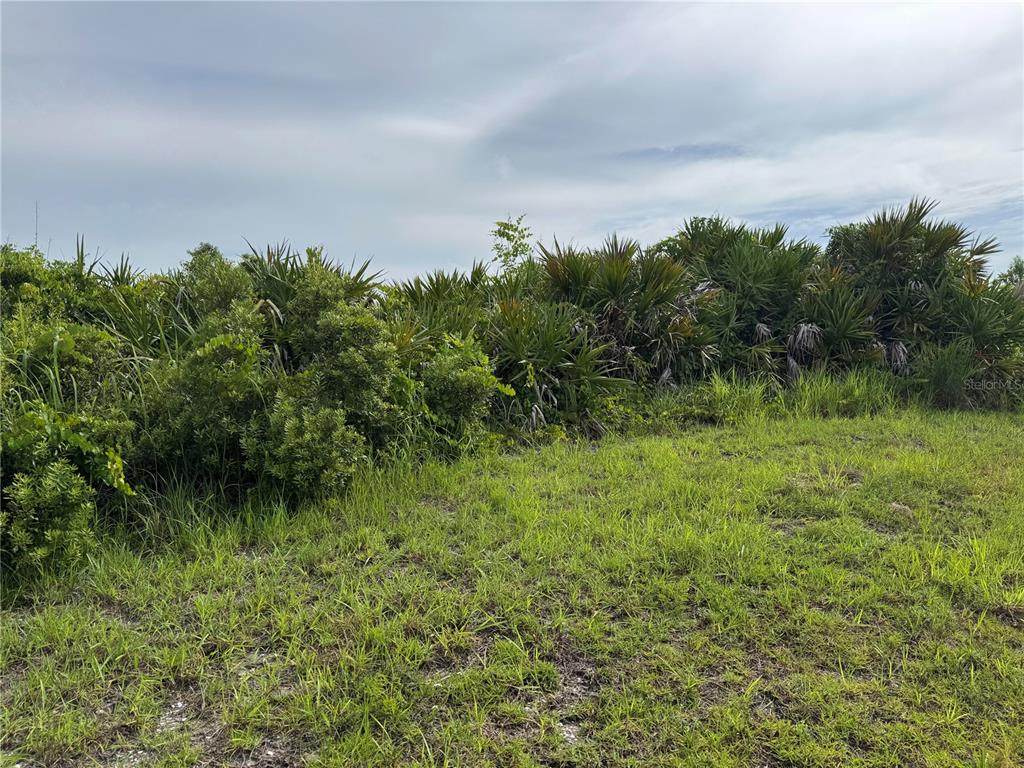 136 Hercules Drive - Photo 1