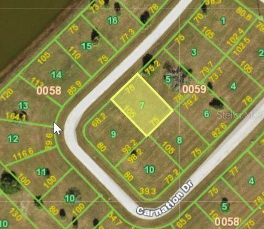 28 Carnation Drive - Photo 1