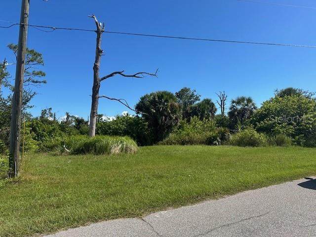 113 Crevalle Road - Photo 1