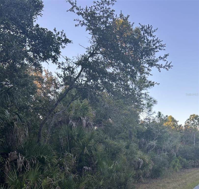 23391 Buckner Avenue - Photo 1