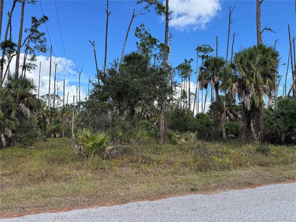 17344 Orion Avenue - Photo 1