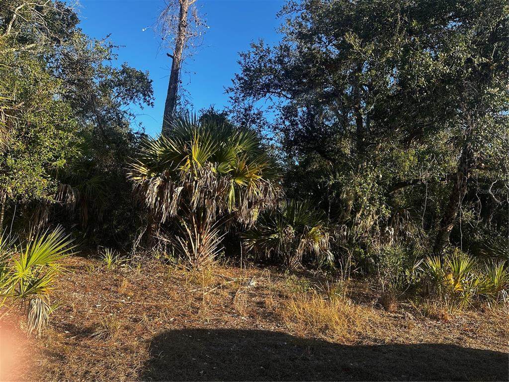  Lanai Avenue - Photo 1