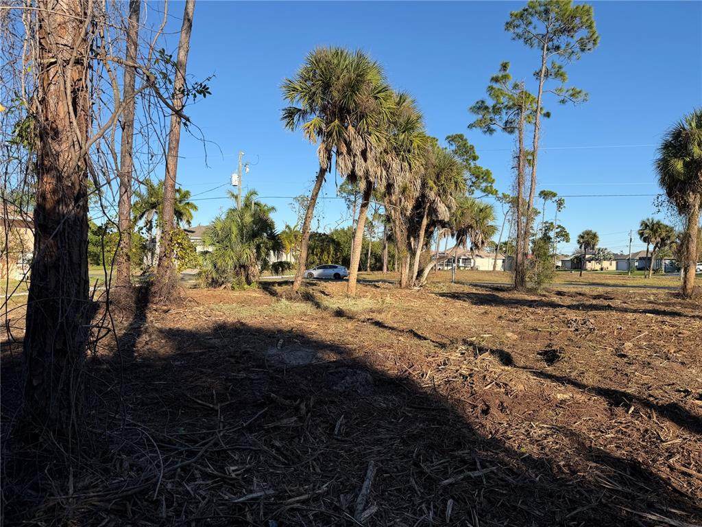 2 Pine Valley Pl - Photo 1