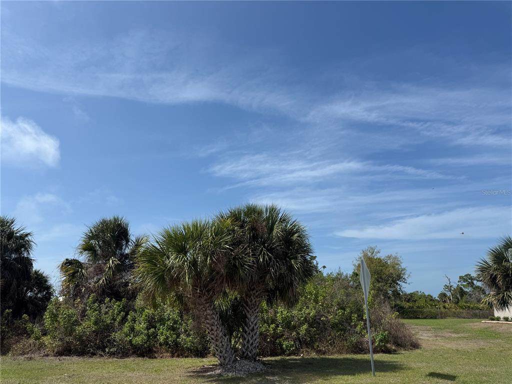 3976 Cape Haze Drive - Photo 1